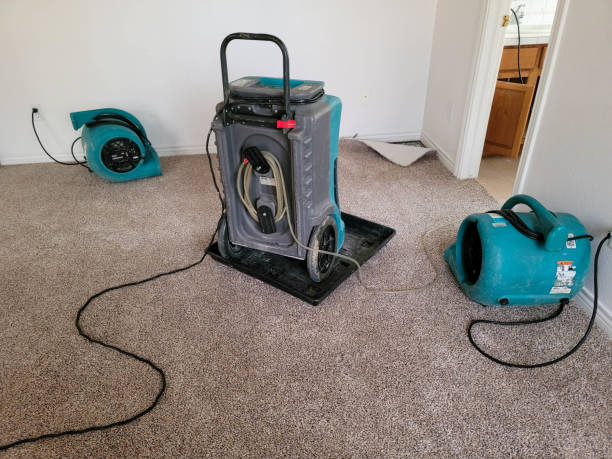 Best Sewage cleanup and water damage restoration  in Covington, GA