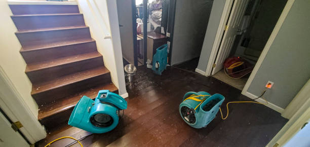 Best Flood restoration services  in Covington, GA