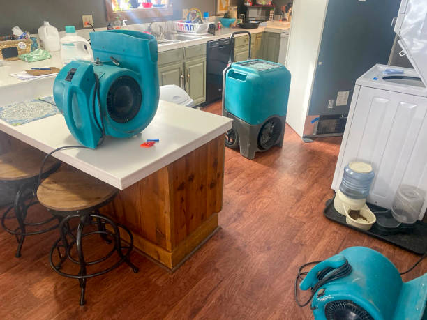Best Water damage cleanup near me  in Covington, GA