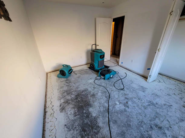 Best Water damage restoration near me  in Covington, GA