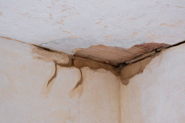 Best Professional water damage repair  in Covington, GA