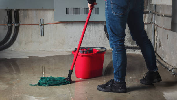 Best Mold removal after water damage  in Covington, GA