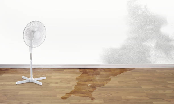 Best Flooded house restoration  in Covington, GA