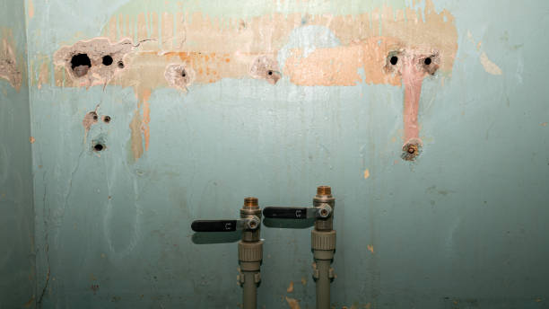 Best Commercial water damage restoration  in Covington, GA